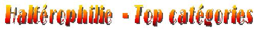 Halterophilie series.JPG (11696 octets)
